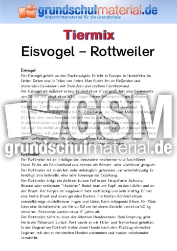 Eisvogel - Rottweiler.pdf